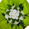 Bouquet originale habits personnalisé blanc