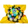 Bouquet fun de chaussettes : Arc en ciel