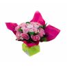 Bouquet de 5 layettes : Mélodie rose