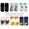 Bouquet de chaussettes : chat