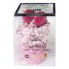 Cupcake chaussettes rigolotte femme : Rose cadeau original