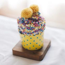 Cupcake chaussettes femme : multicouleur