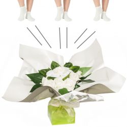 Bouquet original de chaussettes : blanc