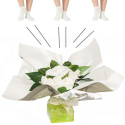 Bouquet original de chaussettes : blanc