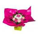 Bouquet original de chaussettes : rose