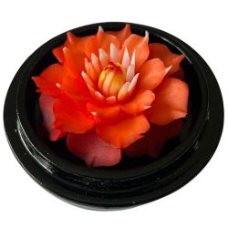 Fleur de savon sculptée : Dahlia rouge