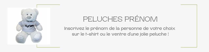 Des ours en peluche à broder et à personnaliser pour enfant ou adulte